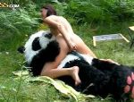 Sex im Wald für diese Malerin und dieser komische und heiße Panda-Bär #21
