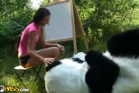 Sex im Wald für diese Malerin und dieser komische und heiße Panda-Bär #9