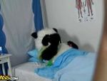 Für diesen armen Panda-Bär gibt es keine bessere Lösung als Sex zu machen #21