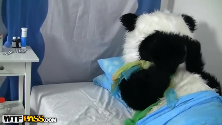 Für diesen armen Panda-Bär gibt es keine bessere Lösung als Sex zu machen #2