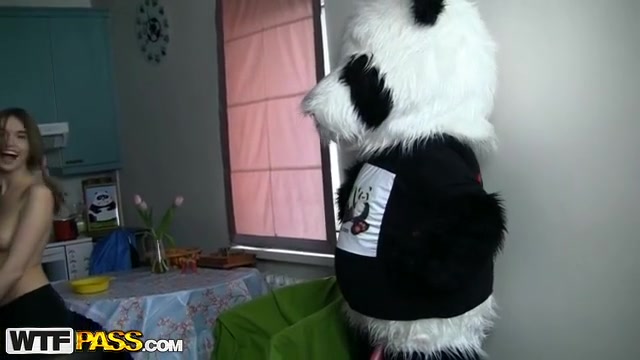 Geiler Spielzeug-Panda mit einem riesigen, rosaroten Schwanz #13