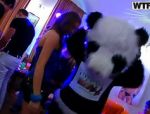 Einen verrückte und heißen Panda ist auf der Suche einer Muschi #8