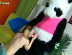 Verrückter Panda hat Rache auf Maribel heute #4