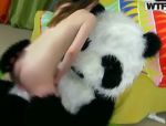 Eine magere Schalmpe Nicki hat wilden Spaß mit einige dreckige Panda #2