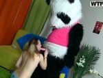Niemand wird so hart und wild auf diesem armen Panda gehen wie sie #2